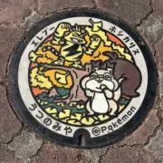 はる☆の画像