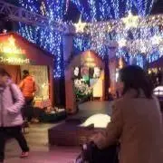 ⭐️ALL PSA10⭐️ポケモンカード 22枚セット ナンジャモ ミモザ