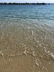KATOの画像