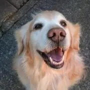 ペコ