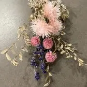 すももの画像