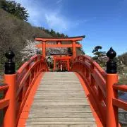 S・アッキー(ФωФ)