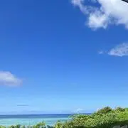 Ruruの画像