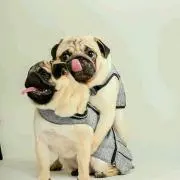 mmmの画像