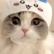 sakure【プロフご覧下さい♪】の画像