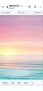 ツバメの画像