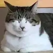 おうぎゆうの画像