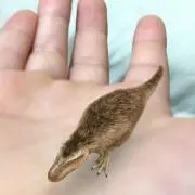 mmの画像
