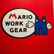 はやぶさの画像