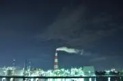 プーの画像
