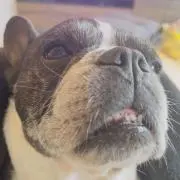 うるくらぶの画像