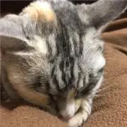 あいぼう
