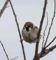 wa（プロフ見てね）の画像