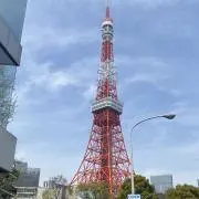 ミドちゃんの画像