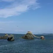 MaroRinの画像