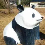 パンダ