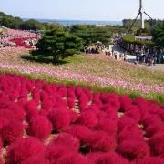 tae☆の画像