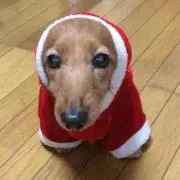 ヒロシ