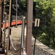 やみののの画像
