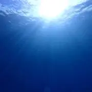ひかるの画像