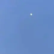 ひなた