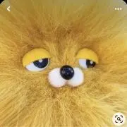 dddプロフィール必読お願い致しますの画像