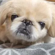 母