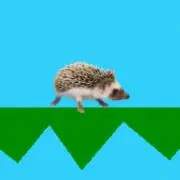 たまの画像