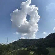 マロン