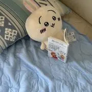 ハダシロの画像