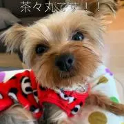 ＊侑芽清＊【プロフ読んで下さいね♪】の画像