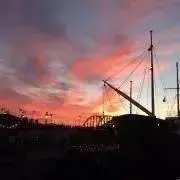 桃