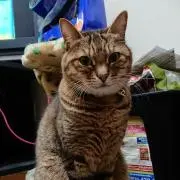 REN
