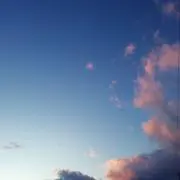 ちょこの画像