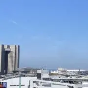 moniの画像