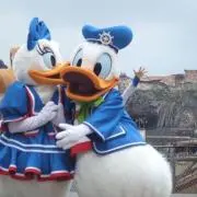 ✴︎M✴︎