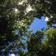 エルモ☆プロフ必読の画像