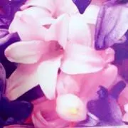 丸王子❛ั︎◡︎❛ั︎ෆ✩⃛︎*⁎の画像