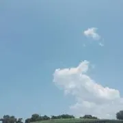 トイさんの画像