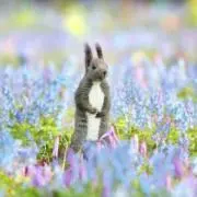 ひ～たんたんの画像