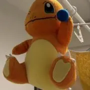 こあぁの画像
