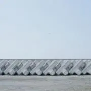 エトの画像
