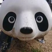 ゴリゴリくんの画像
