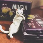 ときの画像