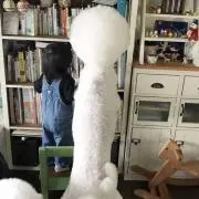 春ルンルン
