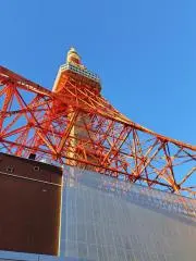 TKの画像