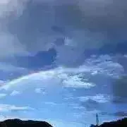 ごまの画像