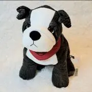 MINIの画像