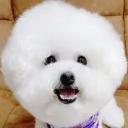 AWORの画像