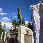こなたの画像